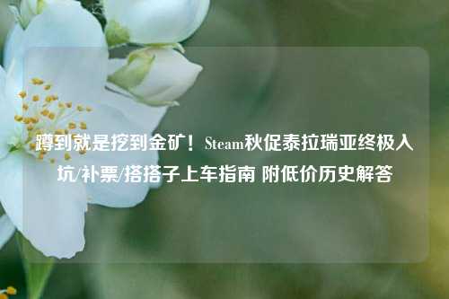 蹲到就是挖到金矿!Steam秋促泰拉瑞亚终极入坑/补票/搭搭子上车指南 附低价历史解答
