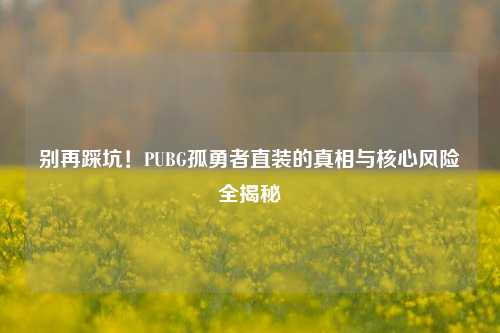 别再踩坑!PUBG孤勇者直装的真相与核心风险全揭秘