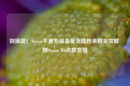 别搞混!Steam不是充设备是充钱包余额全攻略 附Steam R6点数充值