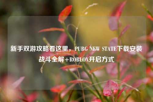 新手双游攻略看这里,PUBG NEW STATE下载安装战斗全解+ROBLOX开启方式