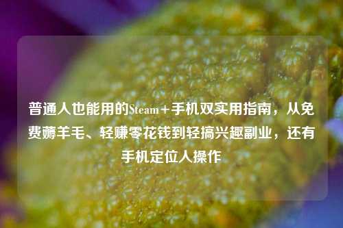 普通人也能用的Steam+手机双实用指南,从免费薅羊毛、轻赚零花钱到轻搞兴趣副业,还有手机定位人操作