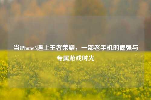 当iPhone5遇上王者荣耀,一部老手机的倔强与专属游戏时光