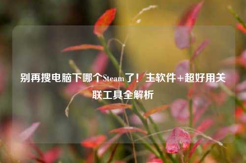 别再搜电脑下哪个Steam了!主软件+超好用关联工具全解析