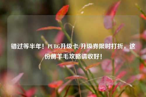 错过等半年!PUBG升级卡/升级券限时打折,这份薅羊毛攻略请收好!