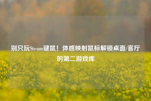 别只玩Steam键鼠!体感映射鼠标解锁桌面/客厅的第二游戏库