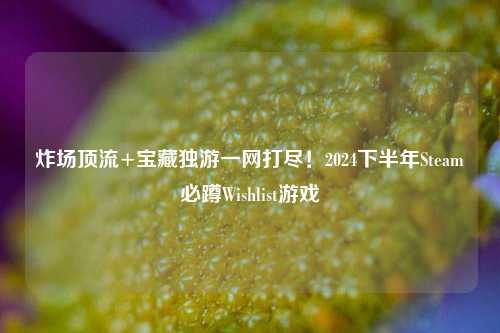 炸场顶流+宝***游一网打尽!2024下半年Steam必蹲Wishlist游戏