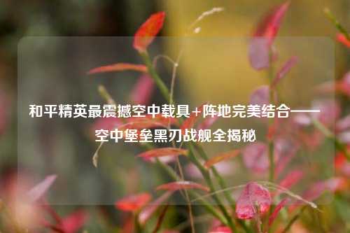和平精英最震撼空中载具+阵地完美结合——空中堡垒黑刃战舰全揭秘