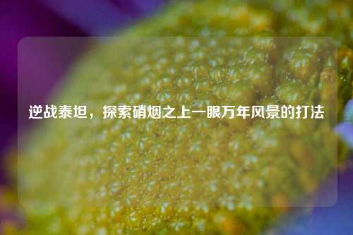逆战泰坦,探索硝烟之上一眼万年风景的打法