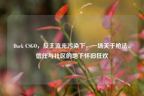 Dark CSGO,反主流光污染下,一场关于枪法、信任与社区的地下怀旧狂欢