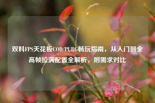 双料FPS天花板COD/PUBG畅玩指南,从入门到全高帧拉满配置全解析,附需求对比
