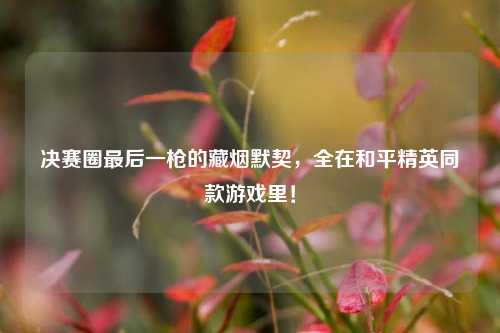 决赛圈最后一枪的藏烟默契,全在和平精英同款游戏里!
