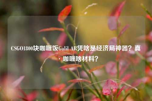 CSGO1800块咖喱饭Galil AR凭啥是经济局神器?真·咖喱啥材料?
