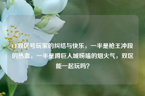 CF双区号玩家的纠结与快乐,一半是枪王冲段的热血,一半是蹲巨人城唠嗑的烟火气,双区能一起玩吗?