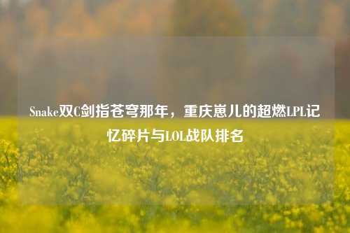 Snake双C剑指苍穹那年,重庆崽儿的超燃LPL记忆碎片与LOL战队排名