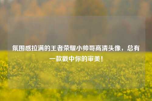 氛围感拉满的王者荣耀小帅哥高清头像,总有一款戳中你的审美!
