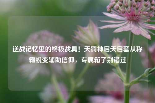 逆战记忆里的终极战具!天罚神启天启套从称霸蜕变辅助信仰,专属箱子别错过