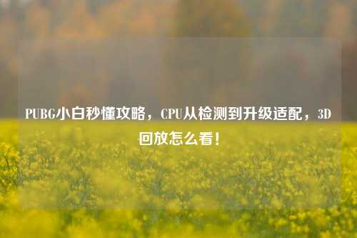 PUBG小白秒懂攻略,CPU从检测到升级适配,3D回放怎么看!