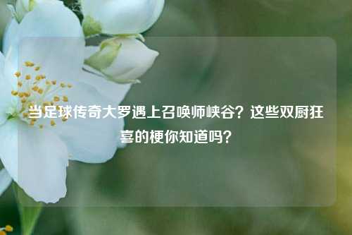 当足球传奇大罗遇上召唤师峡谷?这些双厨狂喜的梗你知道吗?