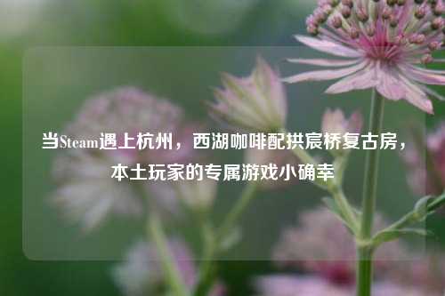 当Steam遇上杭州,西湖咖啡配拱宸桥复古房,本土玩家的专属游戏小确幸