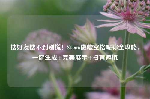 搜好友搜不到别慌!Steam隐藏空格昵称全攻略,一键生成+完美展示+扫盲避坑