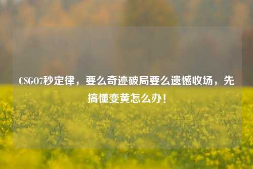 CSGO7秒定律,要么奇迹破局要么遗憾收场,先搞懂变黄怎么办!
