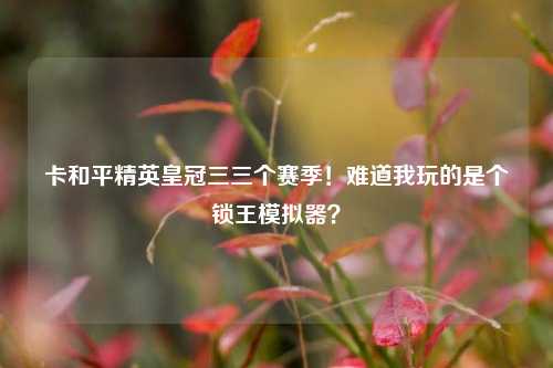 卡和平精英皇冠三三个赛季!难道我玩的是个锁王模拟器?