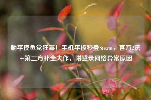 躺平摸鱼党狂喜!手机平板秒登Steam,官方2法+第三方补全大作,附登录 *** 异常原因