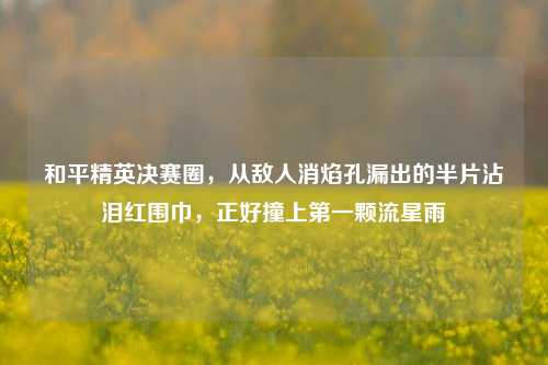 和平精英决赛圈,从敌人消焰孔漏出的半片沾泪红围巾,正好撞上之一颗流星雨