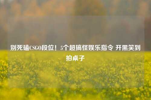 别死磕CSGO段位!5个超搞怪娱乐指令 开黑笑到拍桌子