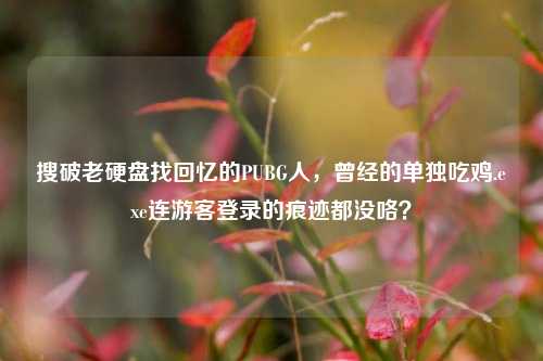 搜破老硬盘找回忆的PUBG人,曾经的单独吃鸡.exe连游客登录的痕迹都没咯?