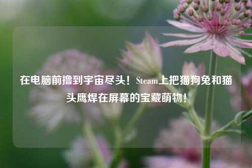 在电脑前撸到宇宙尽头!Steam上把猫狗兔和猫头鹰焊在屏幕的宝藏萌物!