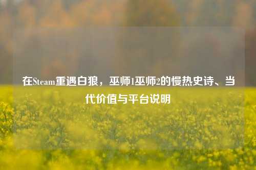 在Steam重遇白狼,巫师1巫师2的慢热史诗、当代价值与平台说明