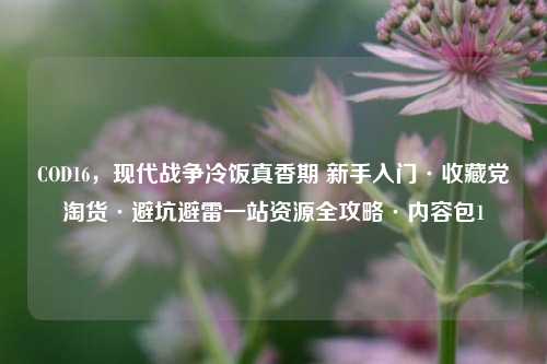 COD16,现代战争冷饭真香期 新手入门·收藏党淘货·避坑避雷一站资源全攻略·内容包1
