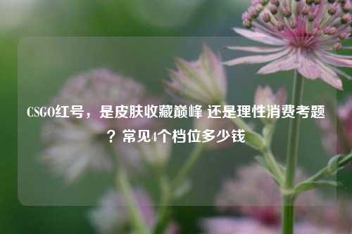 CSGO红号,是皮肤收藏巅峰 还是理性消费考题?常见4个档位多少钱