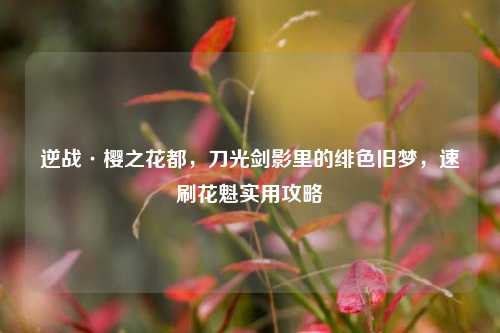 逆战·樱之花都,刀光剑影里的绯色旧梦,速刷花魁实用攻略