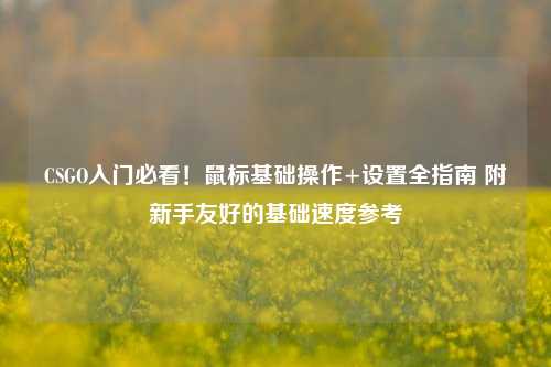 CSGO入门必看!鼠标基础操作+设置全指南 附新手友好的基础速度参考