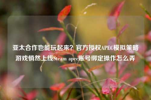 亚太合作也能玩起来?官方授权APEC模拟策略游戏悄然上线Steam apec账号绑定操作怎么弄