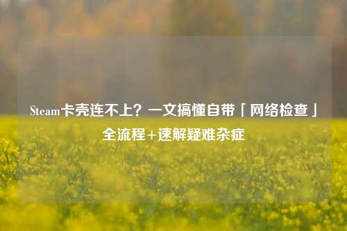 Steam卡壳连不上?一文搞懂自带「 *** 检查」全流程+速解疑难杂症
