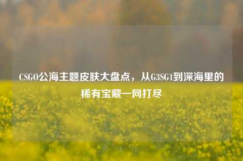 CSGO公海主题皮肤大盘点,从G3SG1到深海里的稀有宝藏一网打尽
