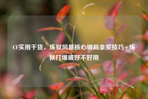 CF实用干货,炼狱风暴核心破局拿奖技巧+炼狱打爆破好不好用