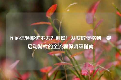 PUBG体验服进不去?别慌!从获取资格到一键启动游戏的全流程保姆级指南