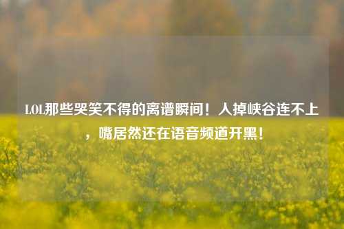 LOL那些哭笑不得的离谱瞬间!人掉峡谷连不上,嘴居然还在语音频道开黑!