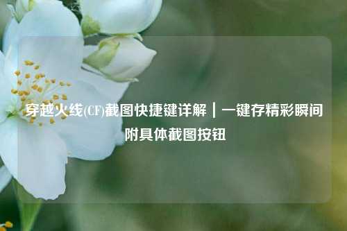 穿越火线(CF)截图快捷键详解|一键存精彩瞬间 附具体截图按钮