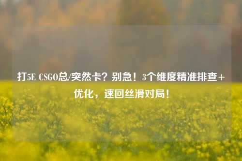打5E CSGO总/突然卡?别急!3个维度精准排查+优化,速回丝滑对局!