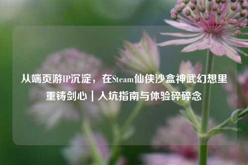 从端页游IP沉淀,在Steam仙侠沙盒神武幻想里重铸剑心|入坑指南与体验碎碎念