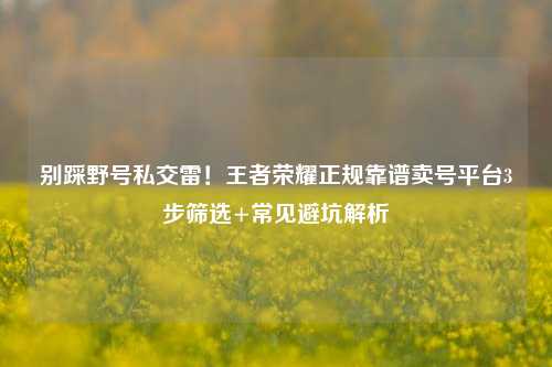 别踩野号私交雷!王者荣耀正规靠谱卖号平台3步筛选+常见避坑解析