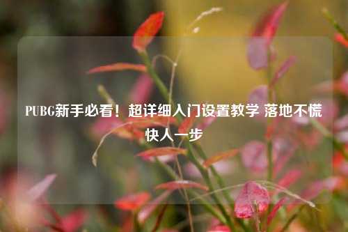 PUBG新手必看!超详细入门设置教学 落地不慌快人一步