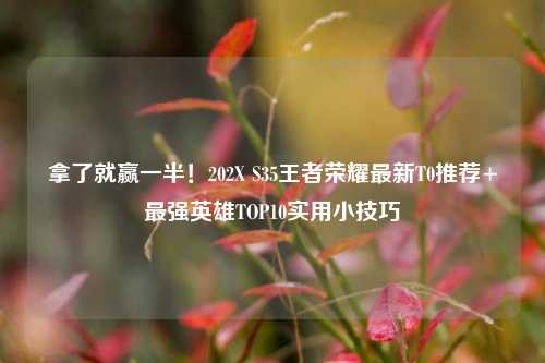 拿了就赢一半!202X S35王者荣耀最新T0推荐+最强英雄TOP10实用小技巧