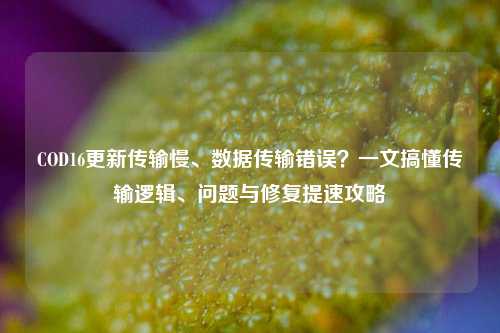 COD16更新传输慢、数据传输错误?一文搞懂传输逻辑、问题与修复提速攻略