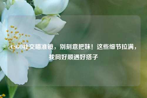 CSGO社交瞄准镜,别刻意把妹!这些细节拉满,找同好顺遇好搭子